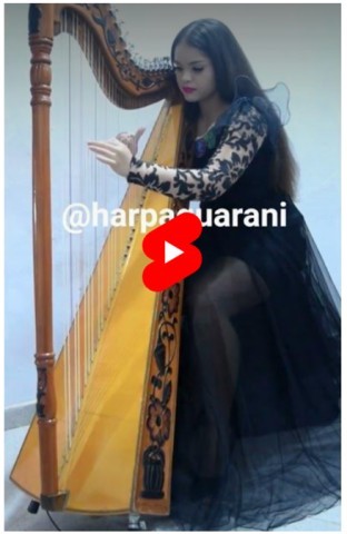 Imagem de Harpa Guarani